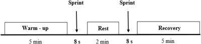 Dynamic Force Production Capacities Between Coronary Artery Disease Patients vs. Healthy Participants on a Cycle Ergometer